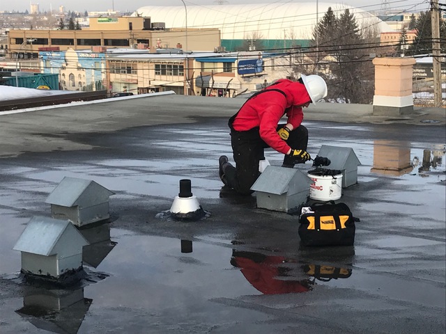 The Facts About Flat Roof In Mississauga Revealed